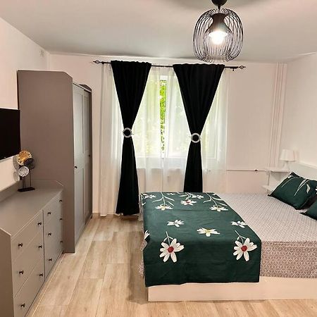 Luna Apartament Apartment Timisoara Exterior photo