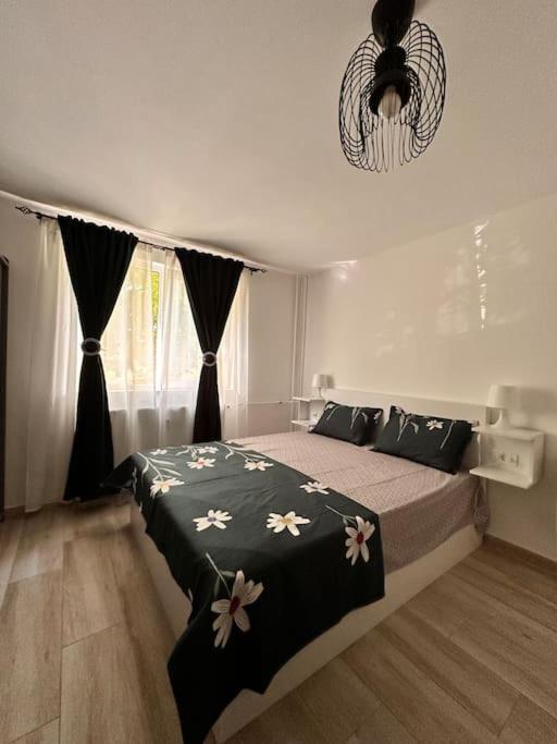 Luna Apartament Apartment Timisoara Exterior photo