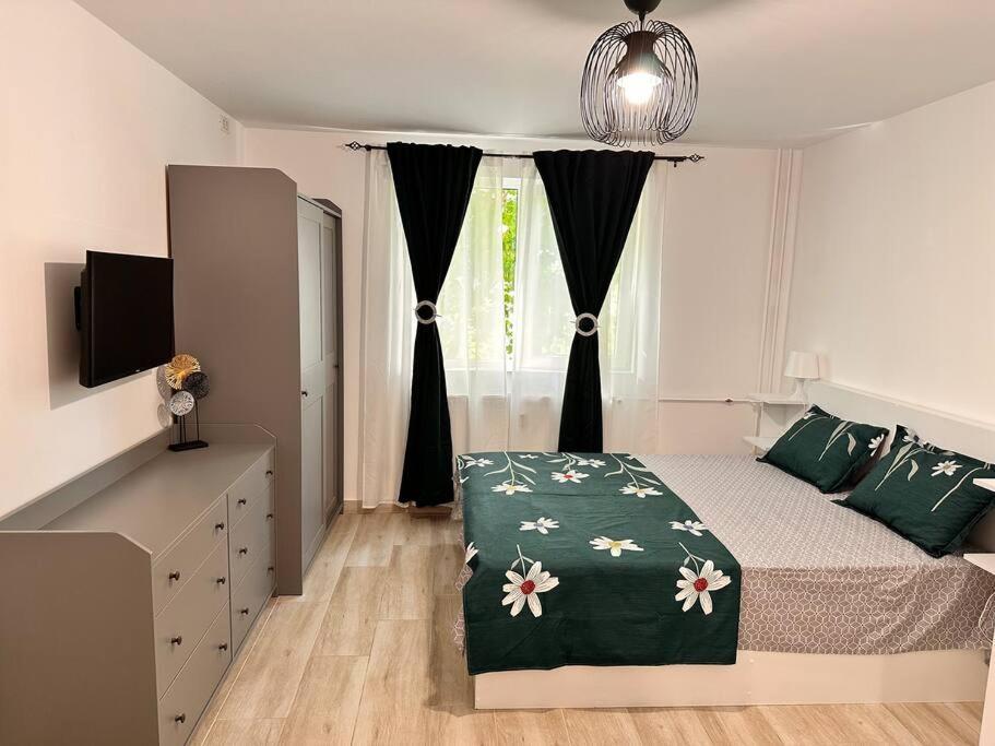 Luna Apartament Apartment Timisoara Exterior photo